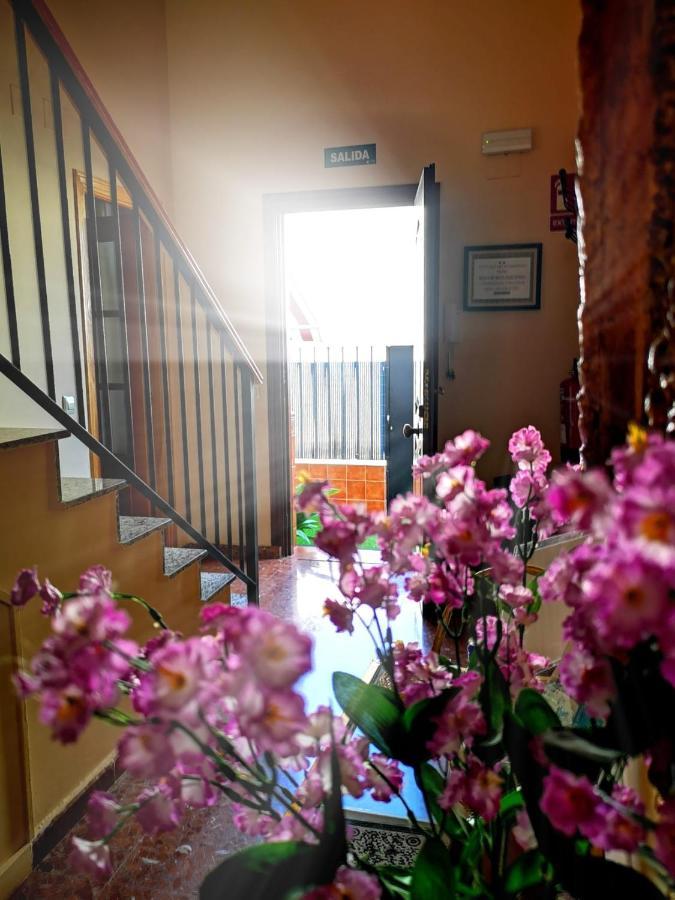 奥利文萨Casa Maria公寓 外观 照片